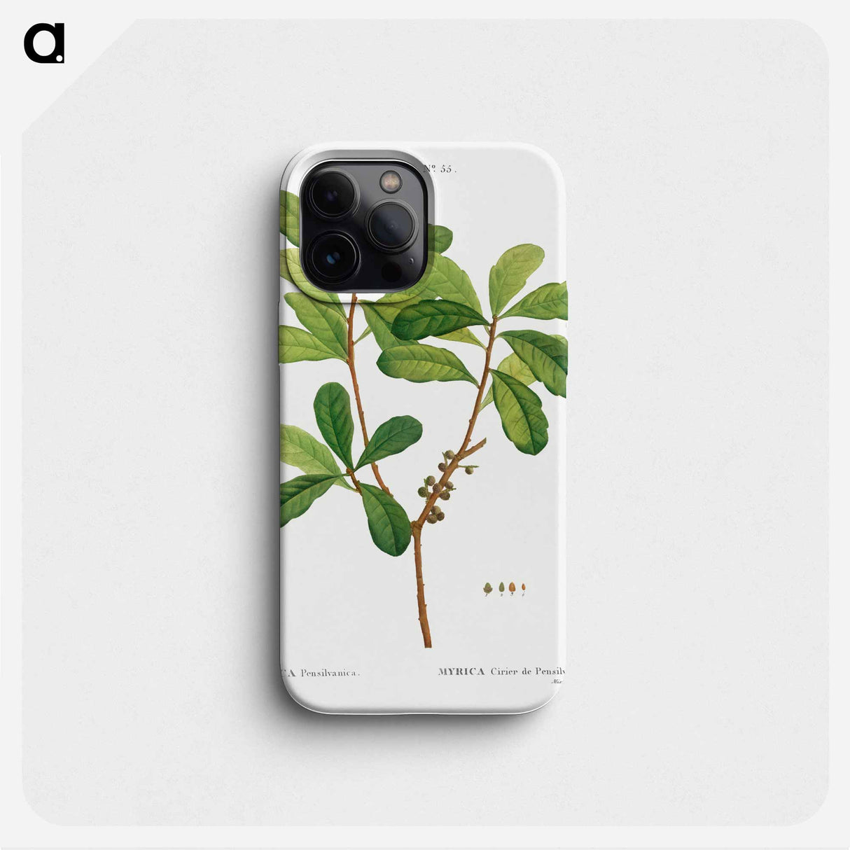 Northern bayberry - Pierre Joseph Redouté Phone Case.