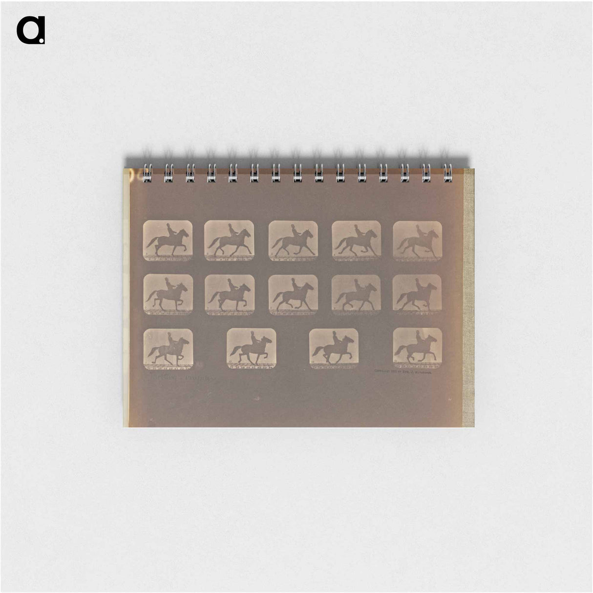 アートメモ帳-Trotting - Irregular
- エドワード マイブリッジ Memo.