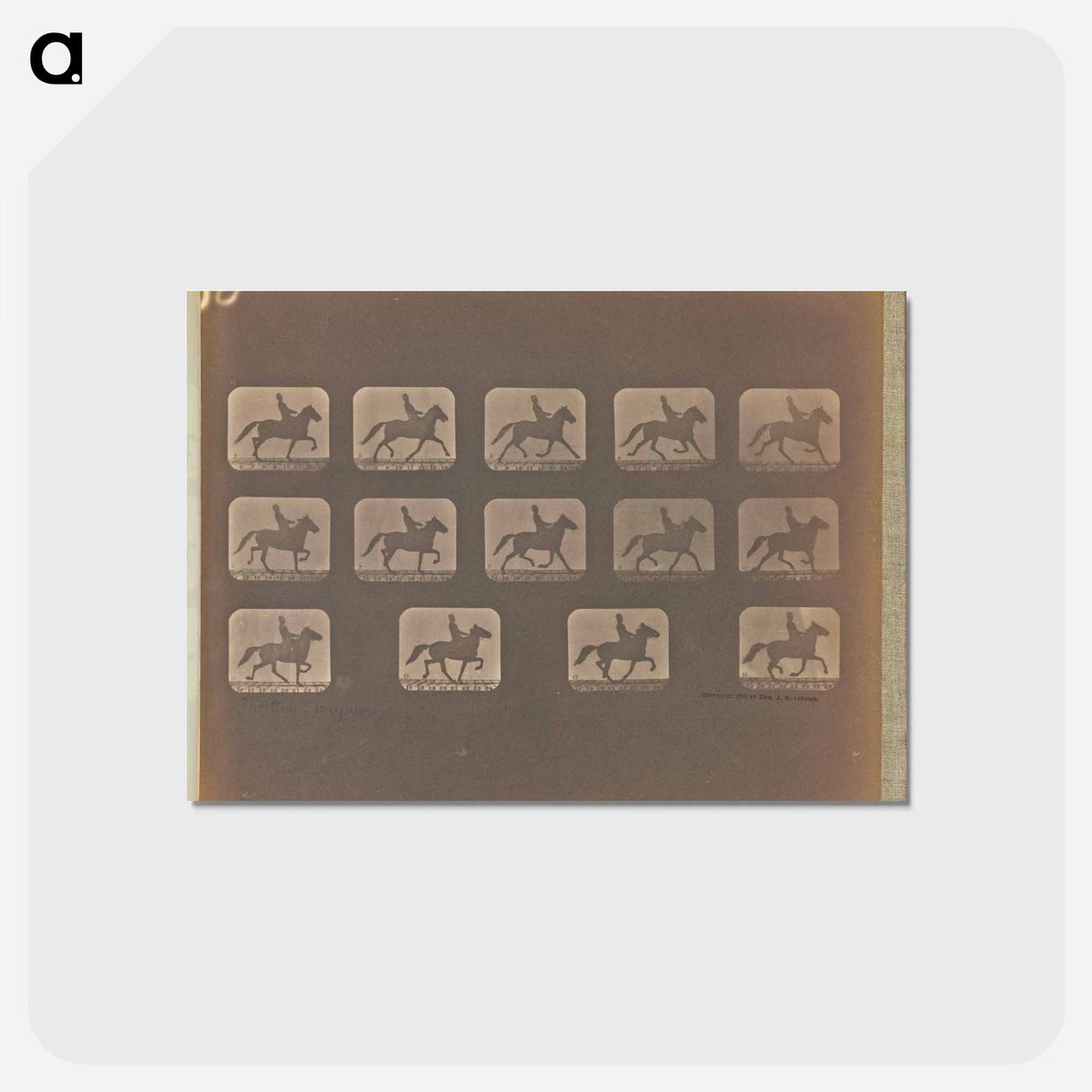 アートポストカード-Trotting - Irregular
- エドワード マイブリッジ Postcard.