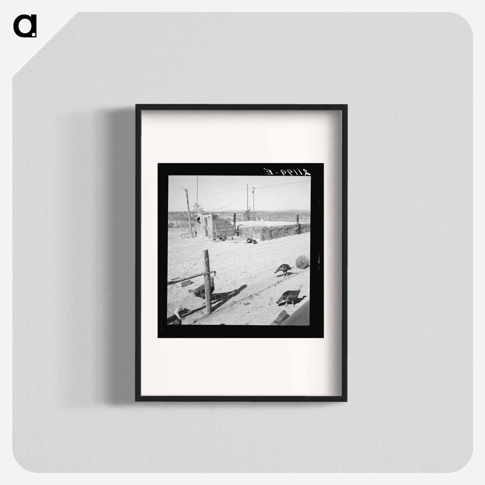 Untitled photo - Dorothea Lange Poster.