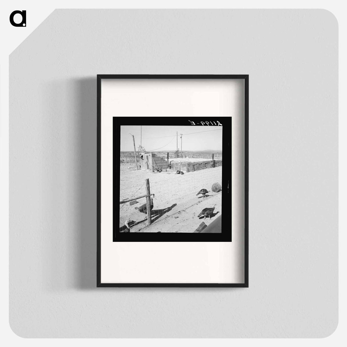 Untitled photo - Dorothea Lange Poster.