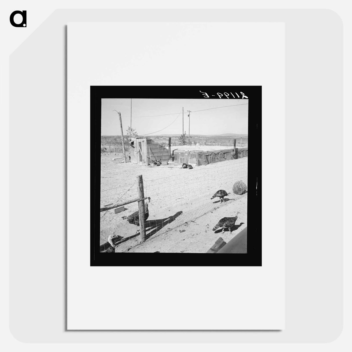 Untitled photo - Dorothea Lange Poster.