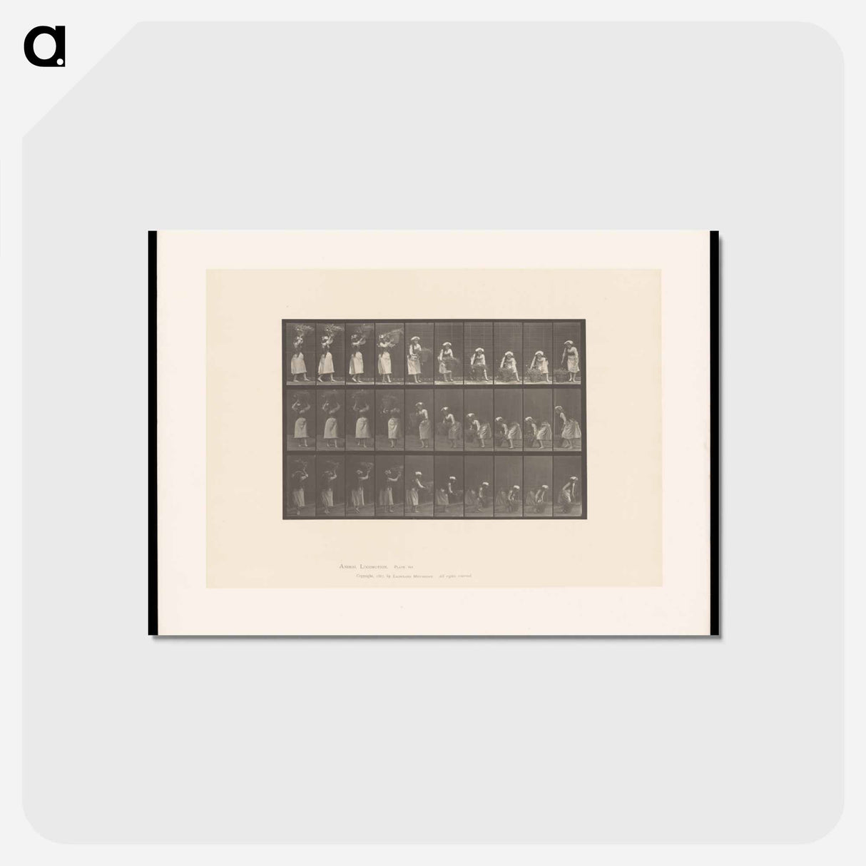 アートポストカード-Woman with Basket
- エドワード マイブリッジ Postcard.
