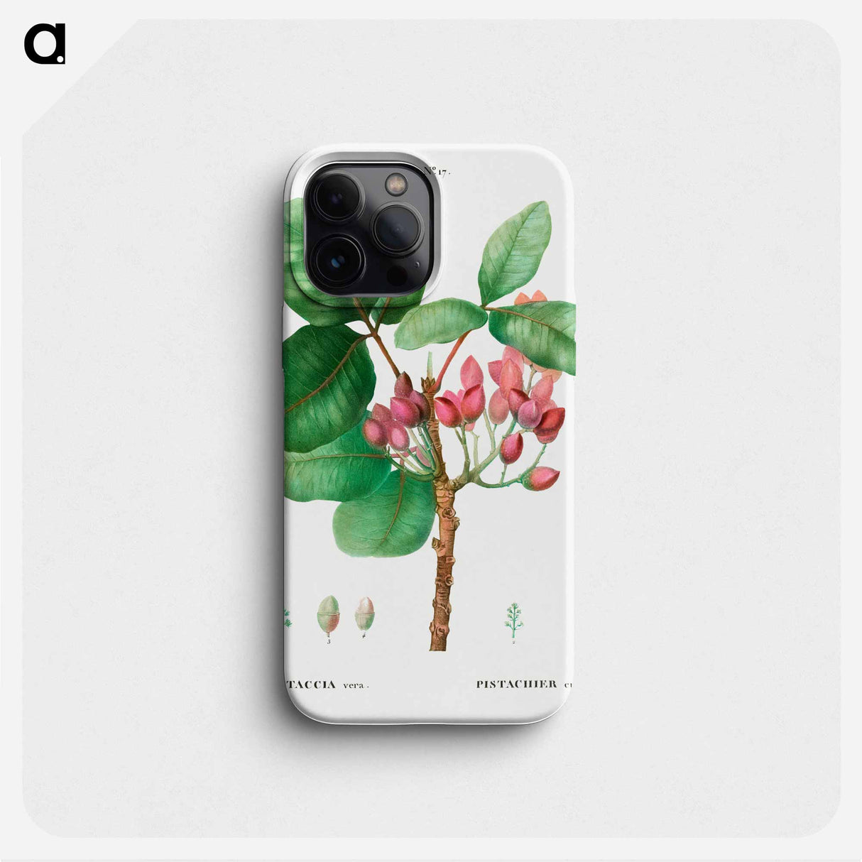 Pistachio - Pierre Joseph Redouté Phone Case.