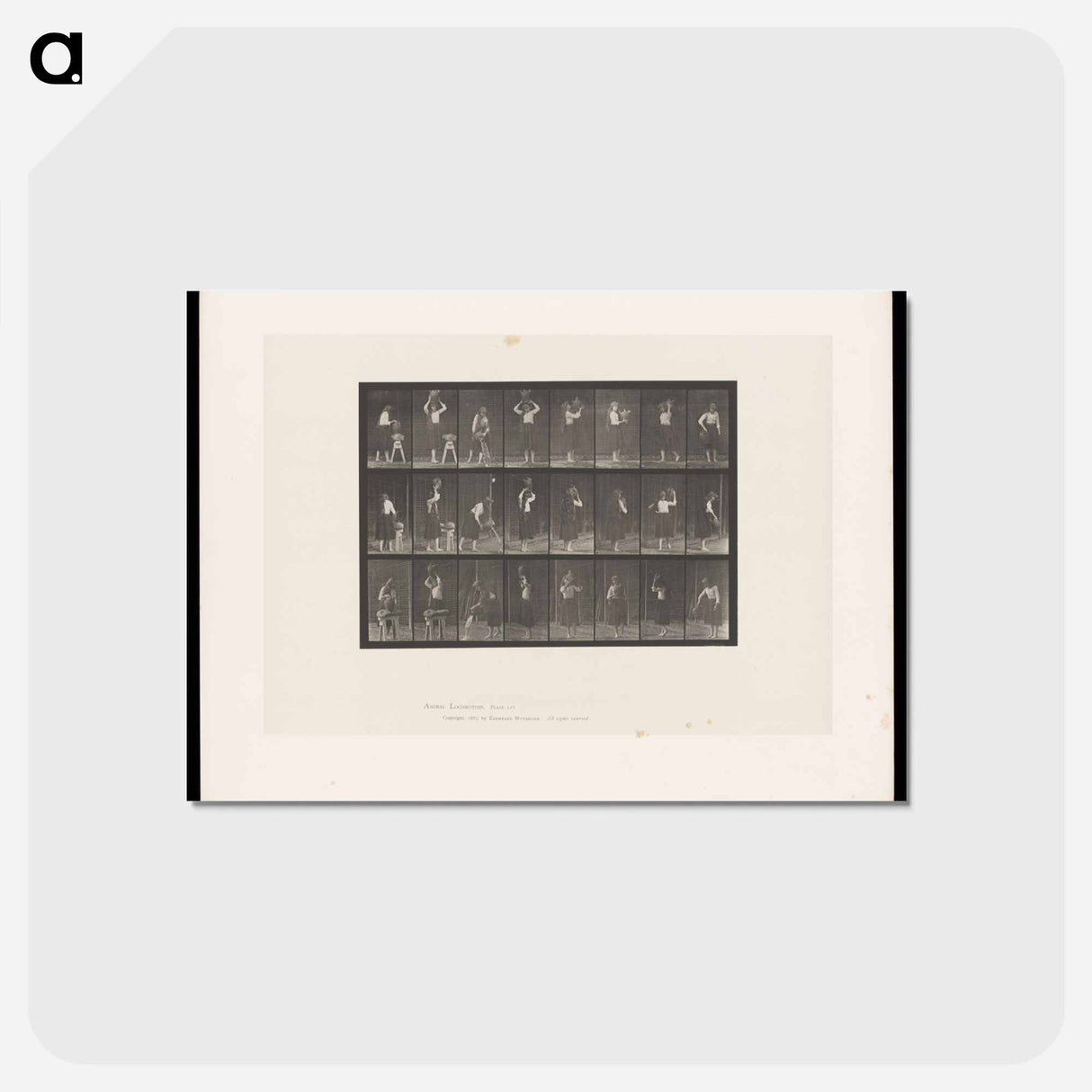 アートポストカード-Woman Pouring Water
- エドワード マイブリッジ Postcard.