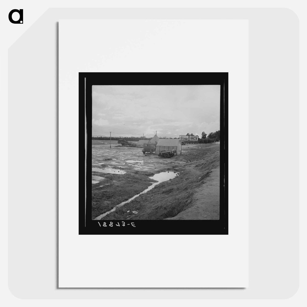 Untitled photo - Dorothea Lange Poster.