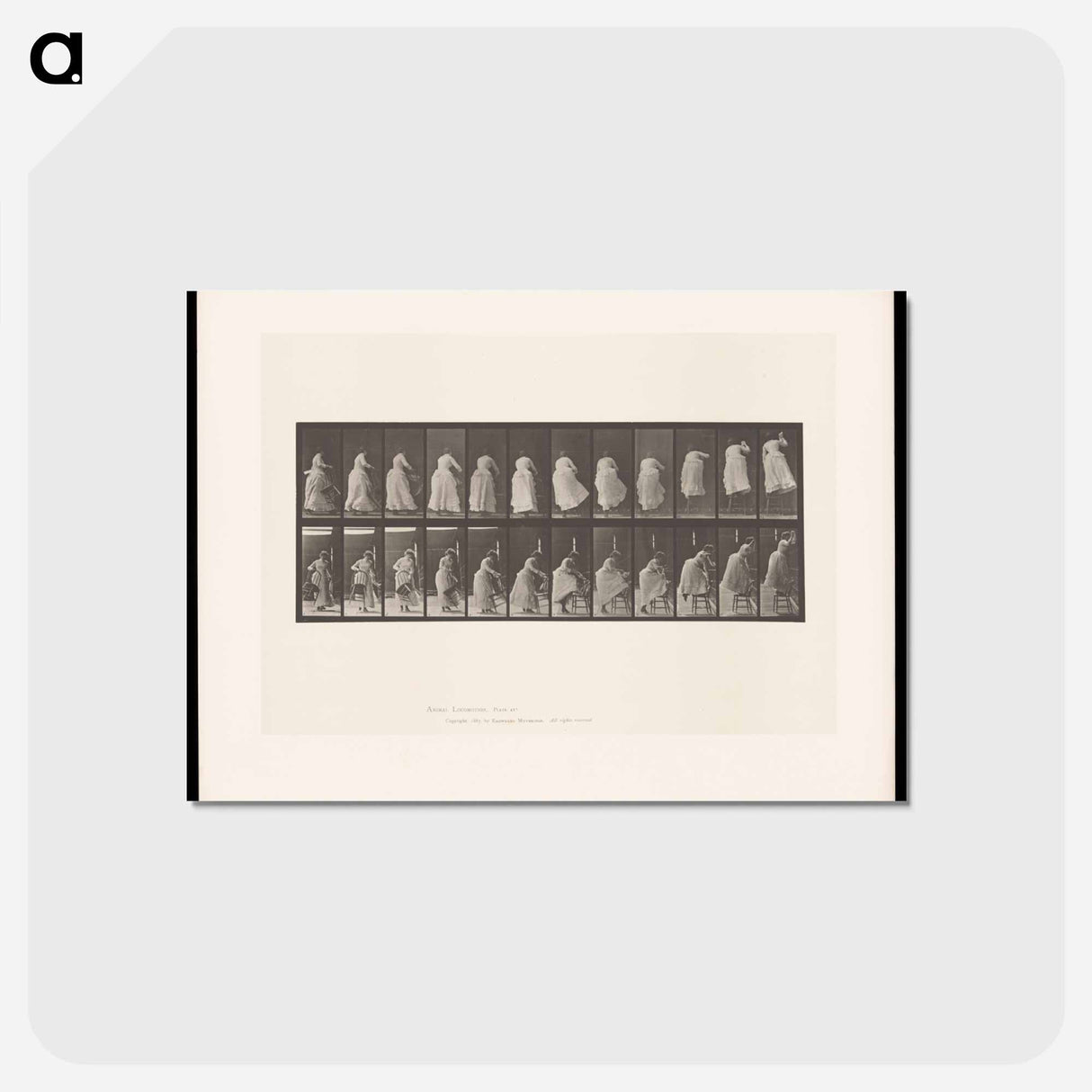 アートポストカード-Woman on Chair
- エドワード マイブリッジ Postcard.