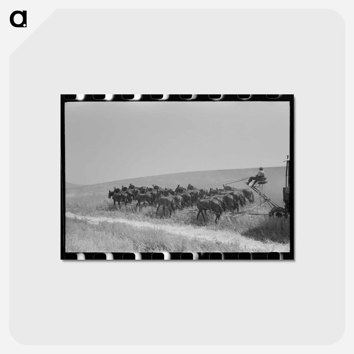 アートポストカード-Walla Walla Wheat Field
- ラッセル リー Postcard.