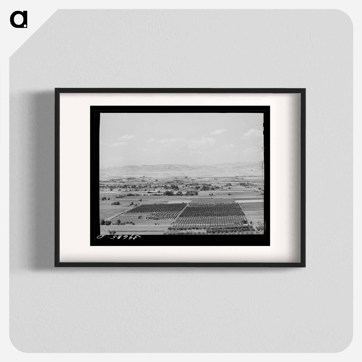 アートポスター-Cherry Orchards near Emmett, Gem County, Idaho
- ラッセル リー Poster.
