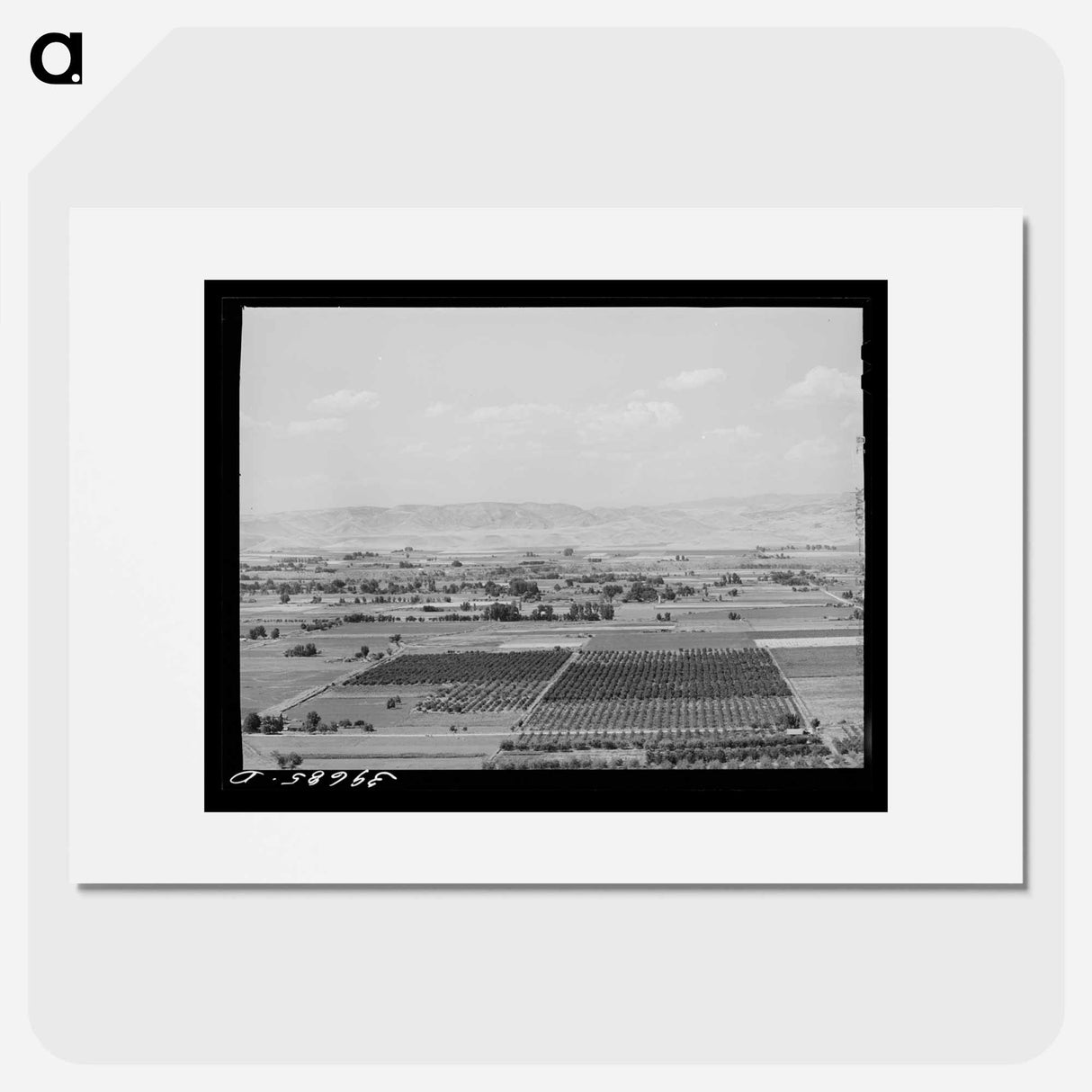 アートポスター-Cherry Orchards near Emmett, Gem County, Idaho
- ラッセル リー Poster.