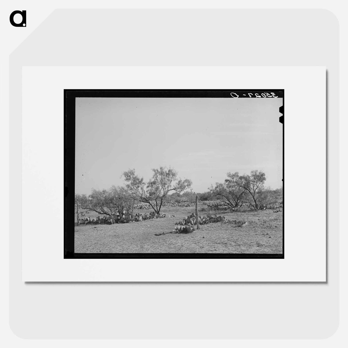 アートポスター-Character of Mesquite Land, Tom Green County, Texas
- ラッセル リー Poster.