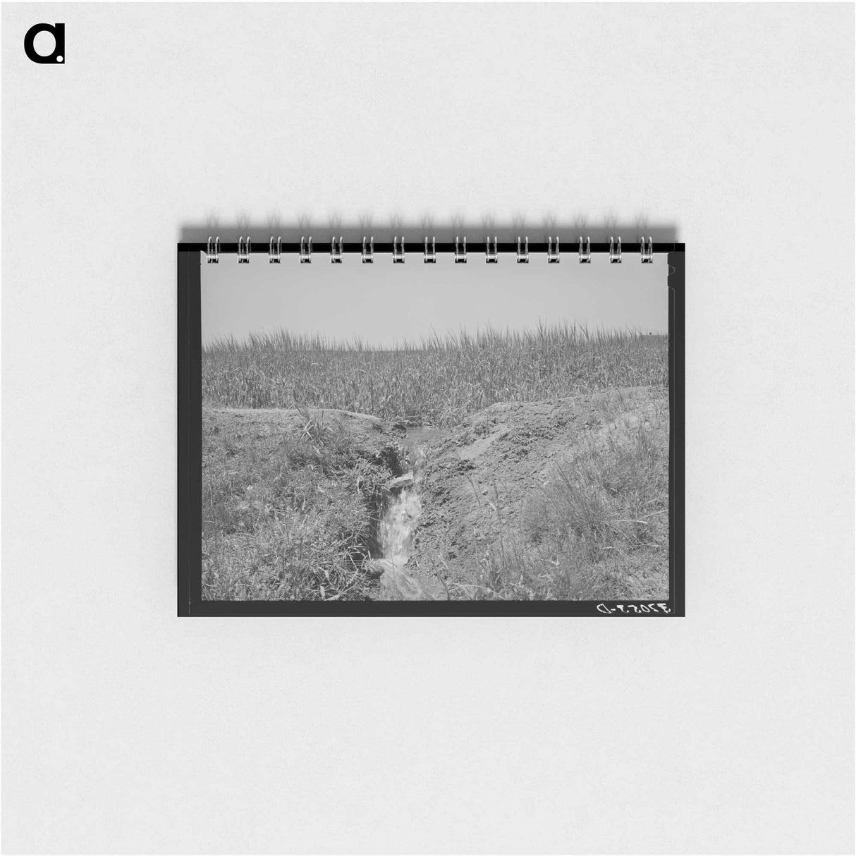 アートメモ帳-Irrigation Runoff, Chamisal, New Mexico
- ラッセル リー Memo.