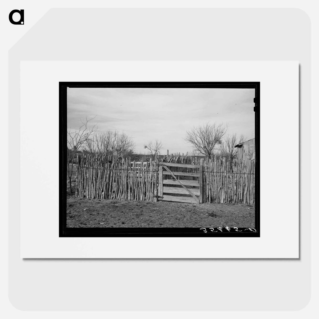 アートポスター-Cedar Post Fence, Kimble County, Texas
- ラッセル リー Poster.