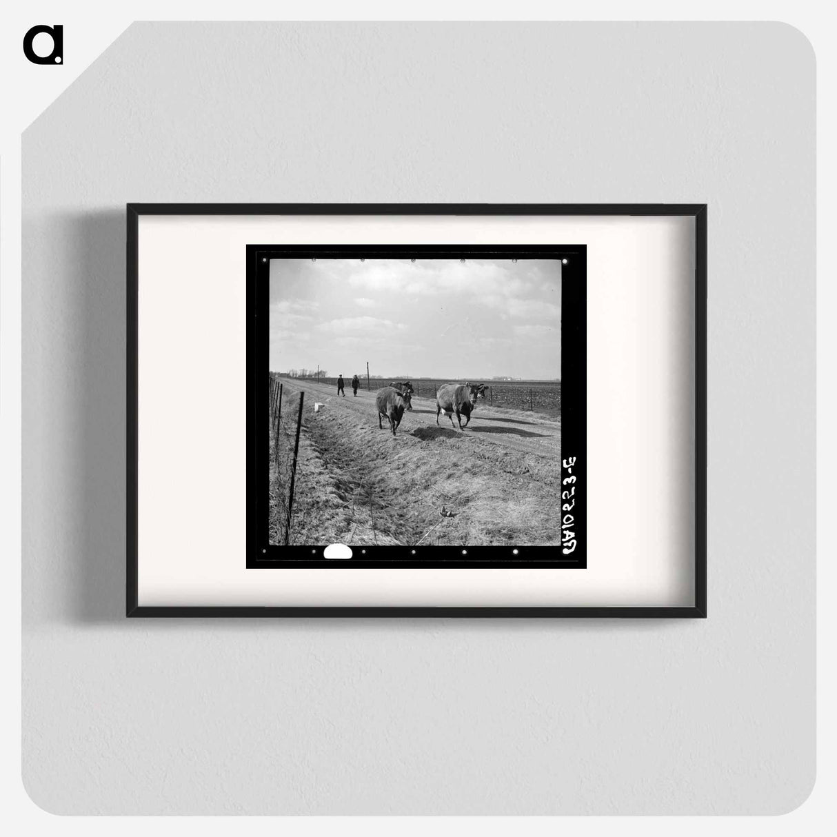 アートポスター-Cattle Drive During Farm Relocation
- ラッセル リー Poster.