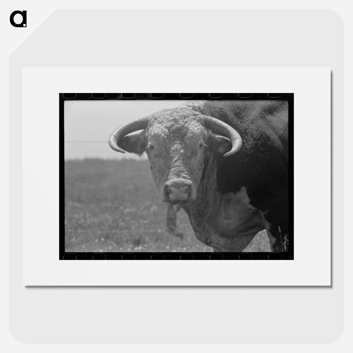 アートポスター-Bull's Head, Cruzen Ranch, Valley County, Idaho
- ラッセル リー Poster.