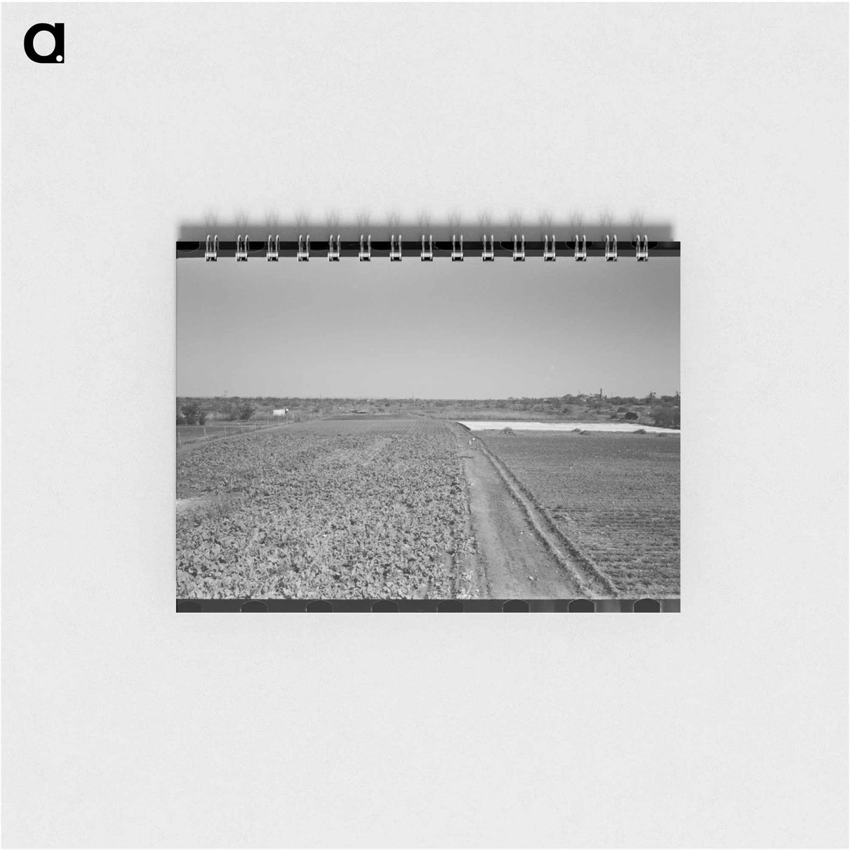 アートメモ帳-Truck Farm near San Angelo, Texas
- ラッセル リー Memo.