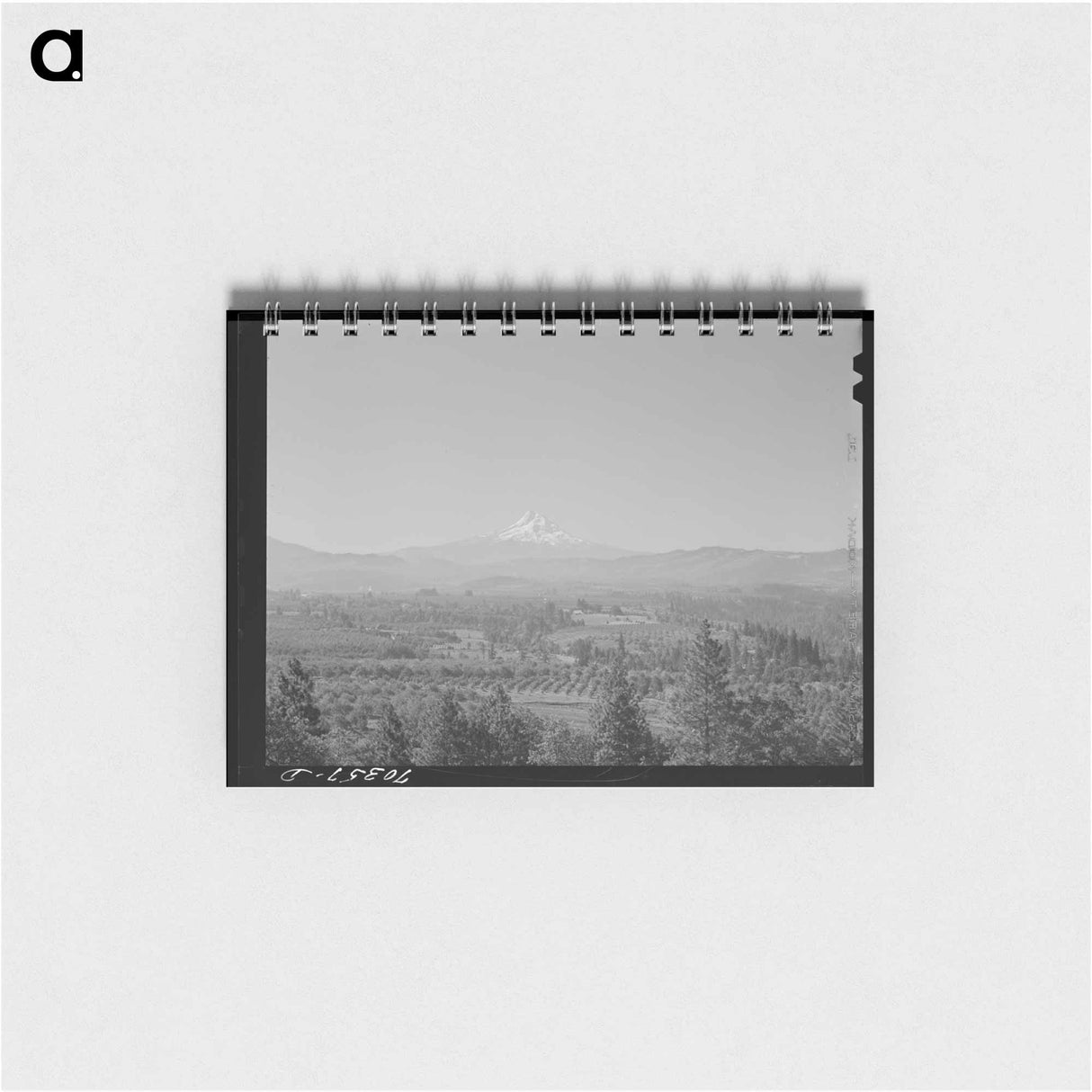 アートメモ帳-Orchards in Hood River Valley
- ラッセル リー Memo.