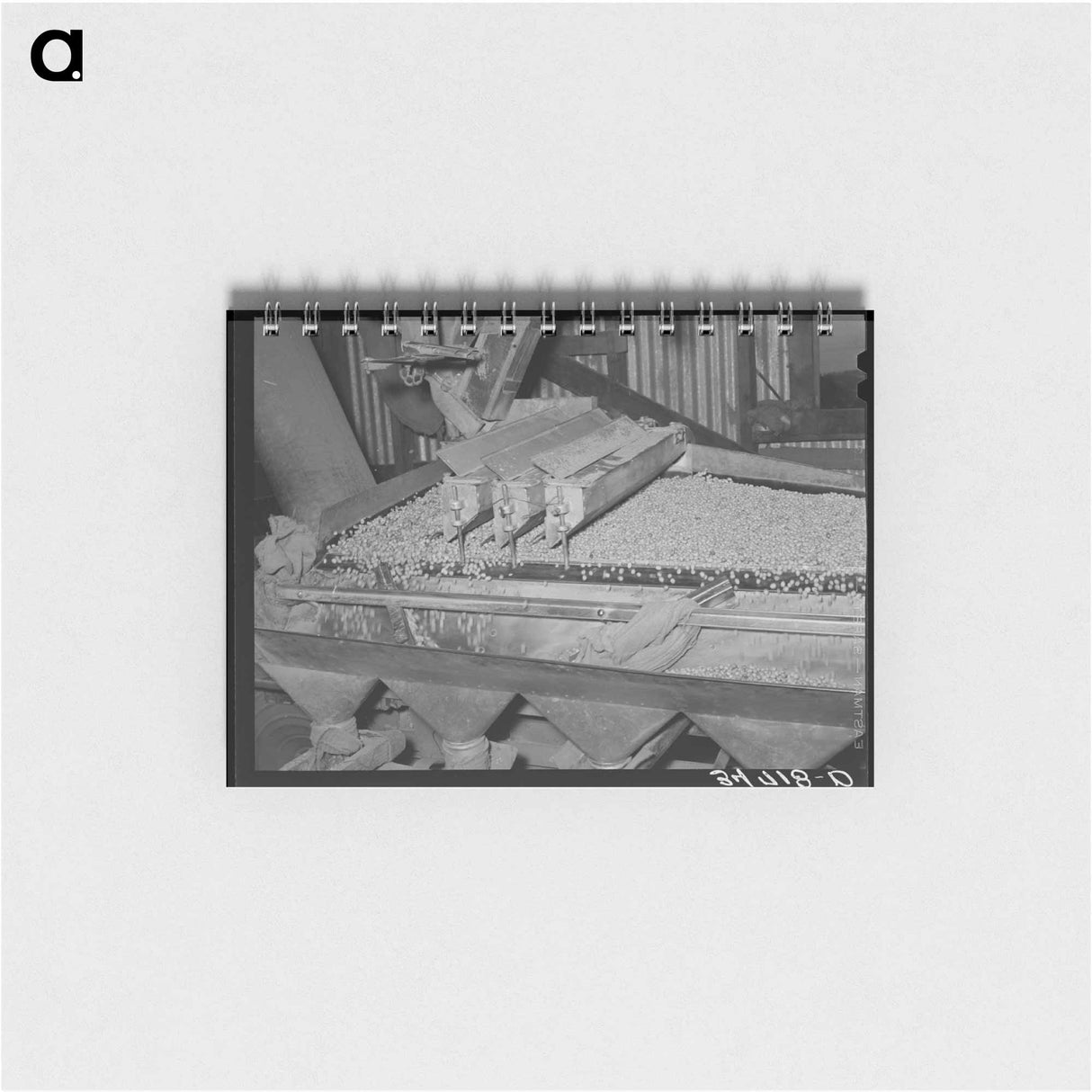アートメモ帳-Peanut Grader, Peanut-Shelling Plant, Comanche, Texas
- ラッセル リー Memo.