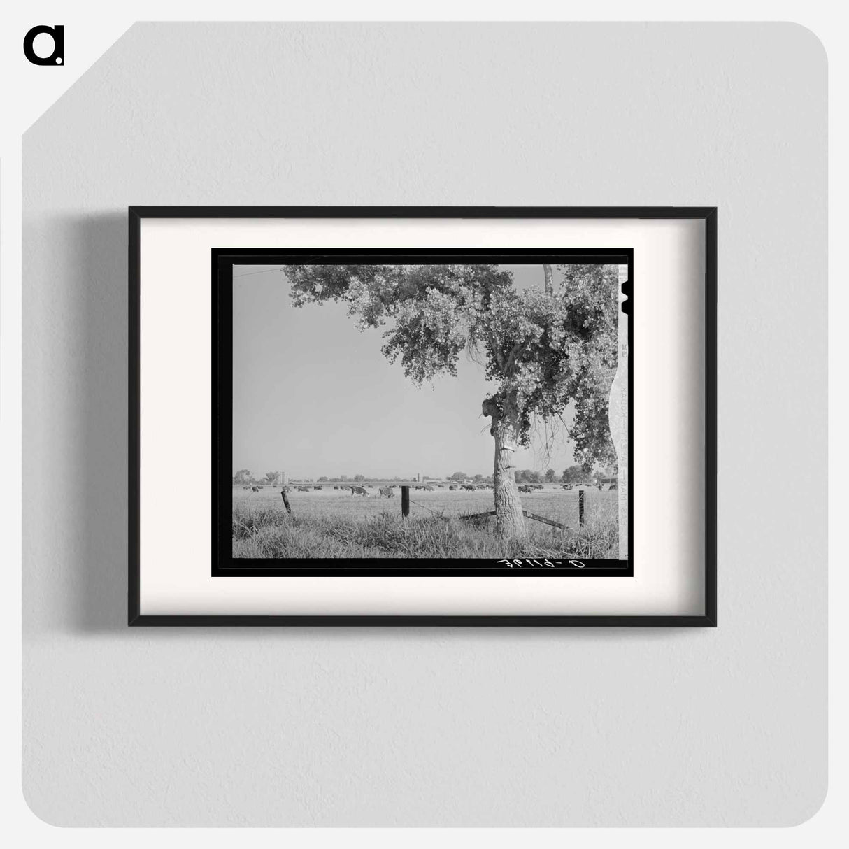 アートポスター-Dairy Herd, Maricopa County, Arizona
- ラッセル リー Poster.