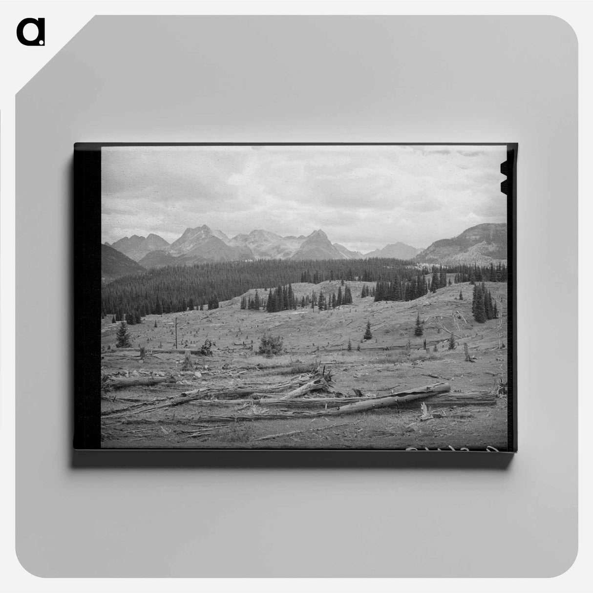 アートパネル-Deforestation in San Juan County, Colorado
- ラッセル リー Canvas.