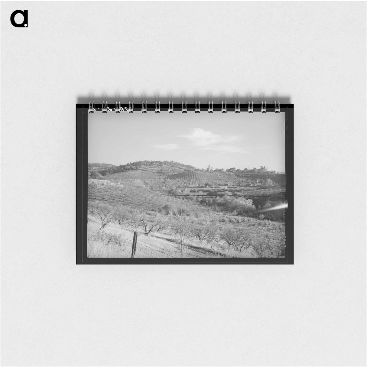 アートメモ帳-Orchards in the Hills Near Auburn, California
- ラッセル リー Memo.