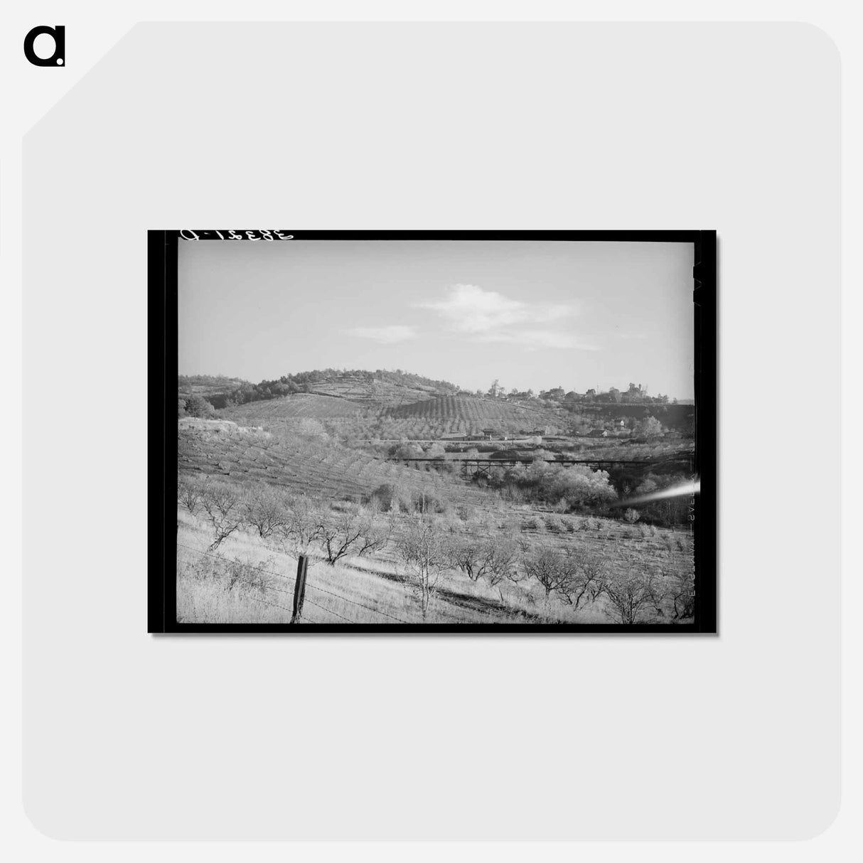 アートポストカード-Orchards in the Hills Near Auburn, California
- ラッセル リー Postcard.