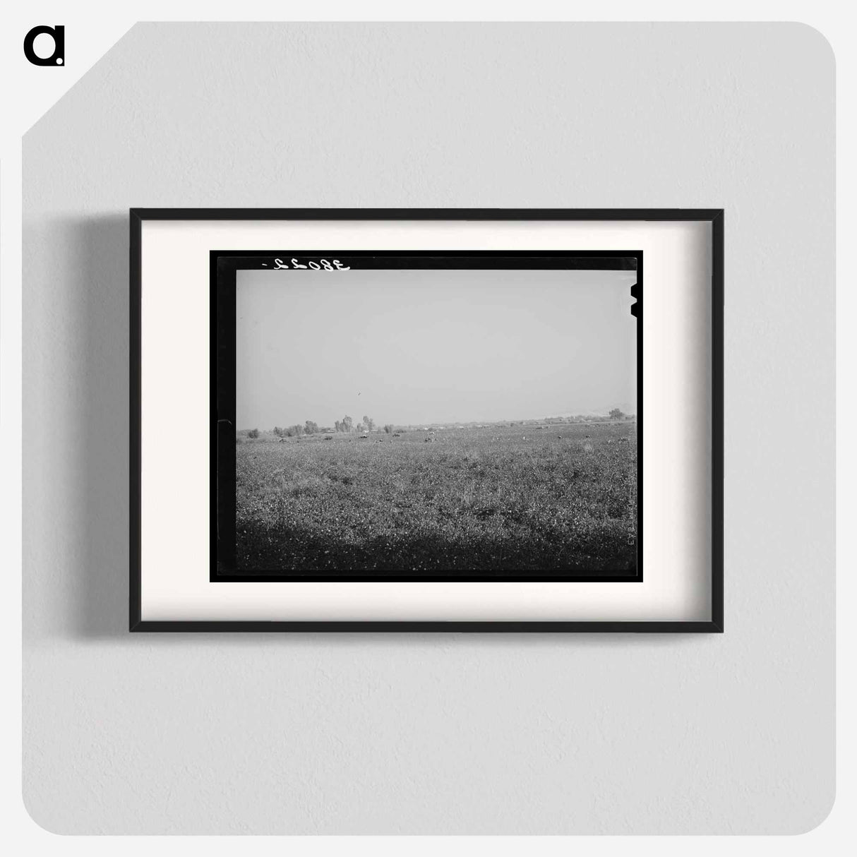 アートポスター-Cotton Field, Mineral King Cooperative Farm
- ラッセル リー Poster.