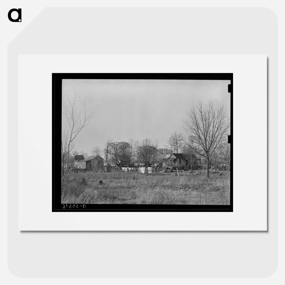 アートポスター-Typical Farmstead near Lake Providence, Louisiana
- ラッセル リー Poster.