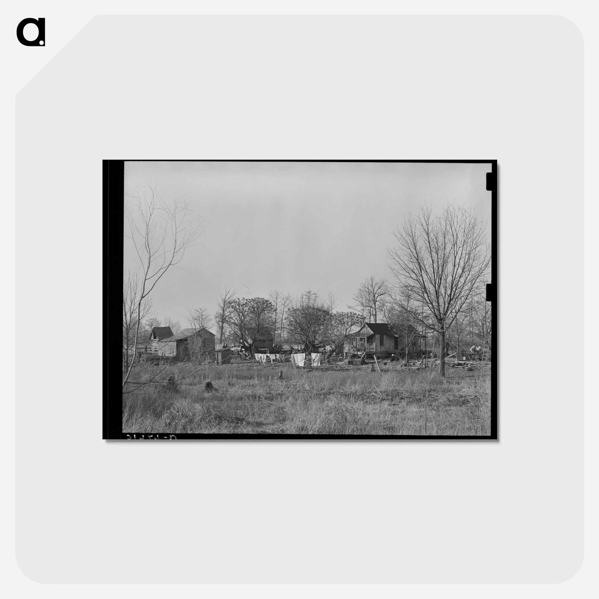 アートポストカード-Typical Farmstead near Lake Providence, Louisiana
- ラッセル リー Postcard.