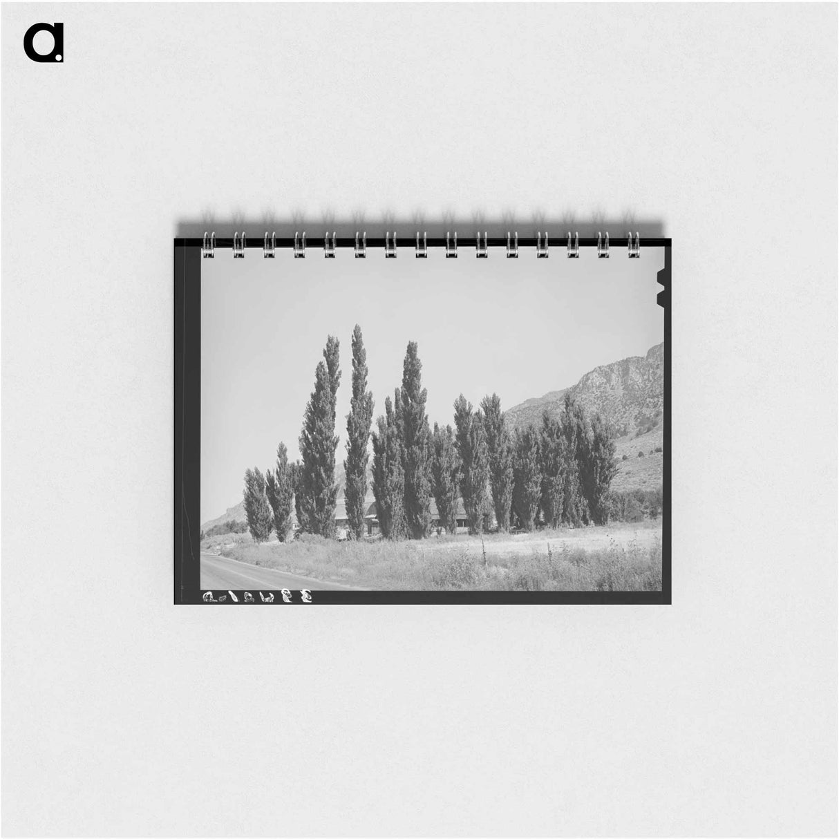 アートメモ帳-Lombardy Poplars, Box Elder County, Utah
- ラッセル リー Memo.