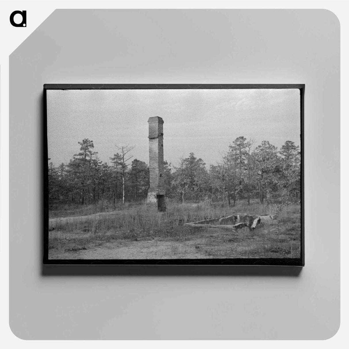 アートパネル-Remains of House Destroyed by Fire, Cut-Over Area, New Jersey
- ラッセル リー Canvas.