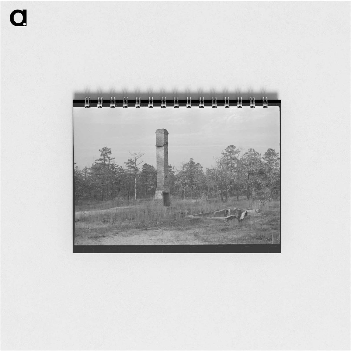 アートメモ帳-Remains of House Destroyed by Fire, Cut-Over Area, New Jersey
- ラッセル リー Memo.