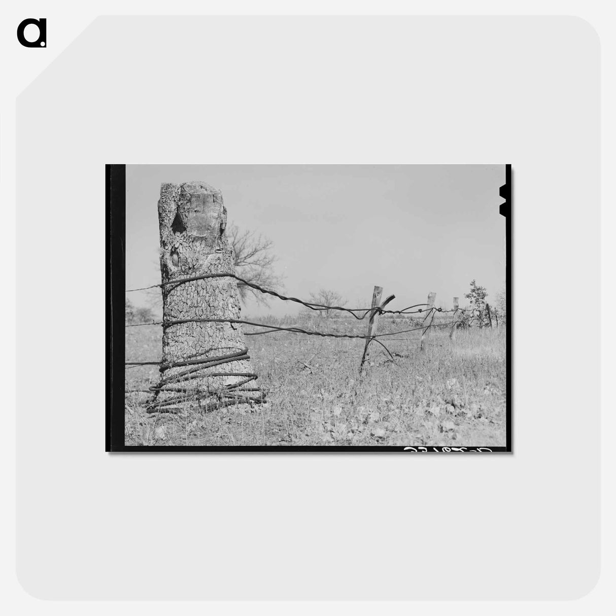 アートポストカード-Fence of Oil Well Cable, Creek County, Oklahoma
- ラッセル リー Postcard.