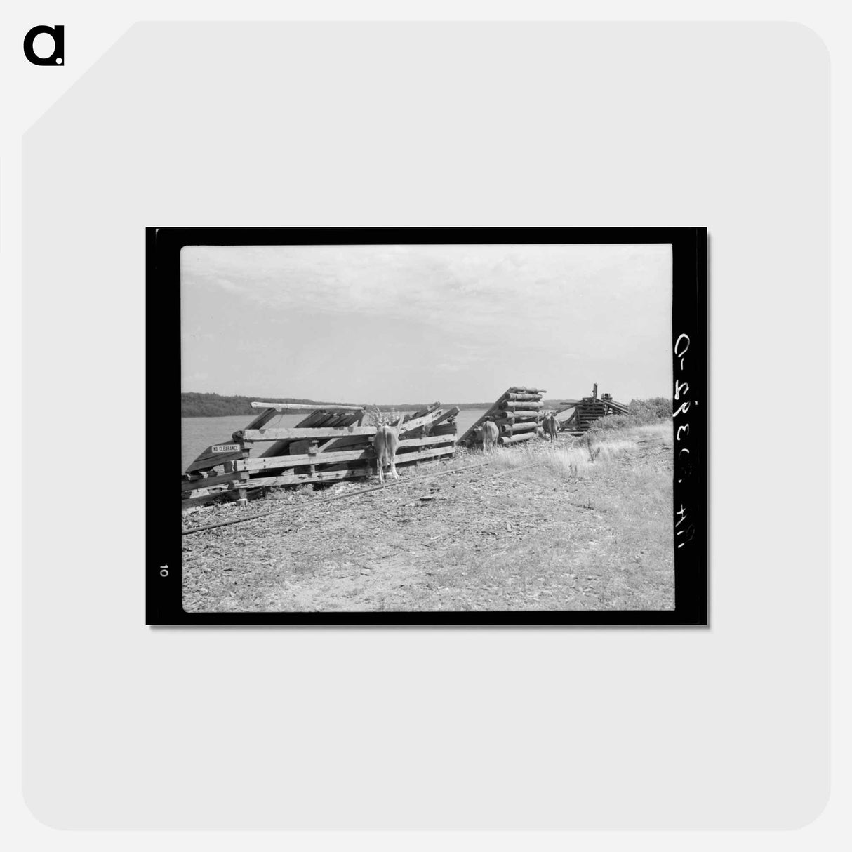 アートポストカード-Lumbering Remains, Winton, Minnesota
- ラッセル リー Postcard.