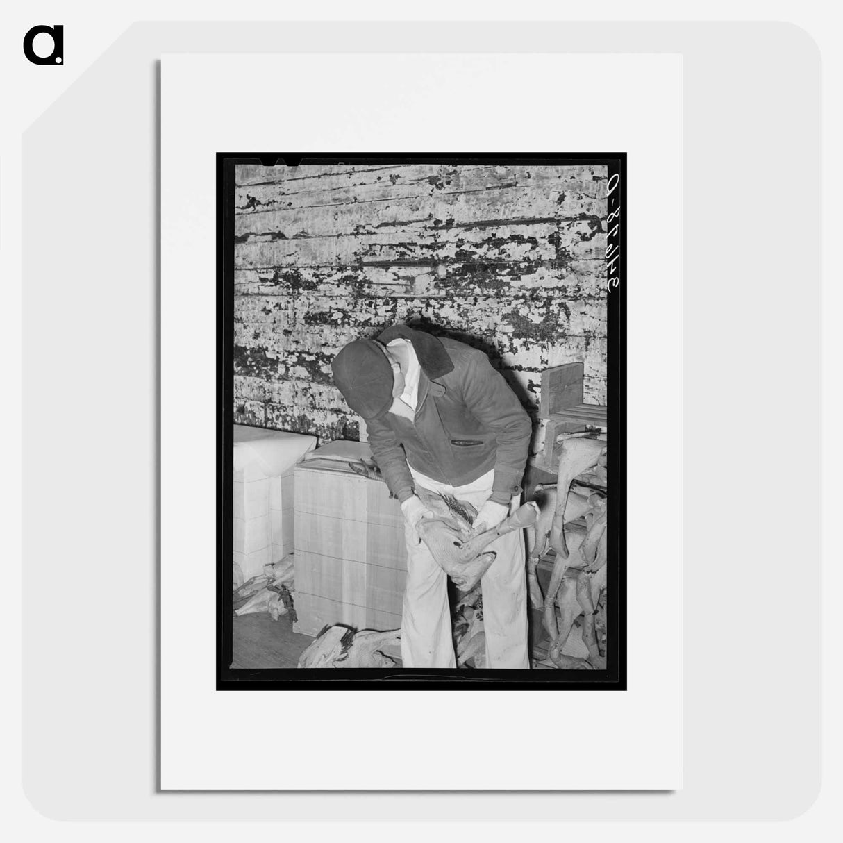 アートポスター-Grading Turkeys at Cold Storage Plant, Brownwood, Texas
- ラッセル リー Poster.