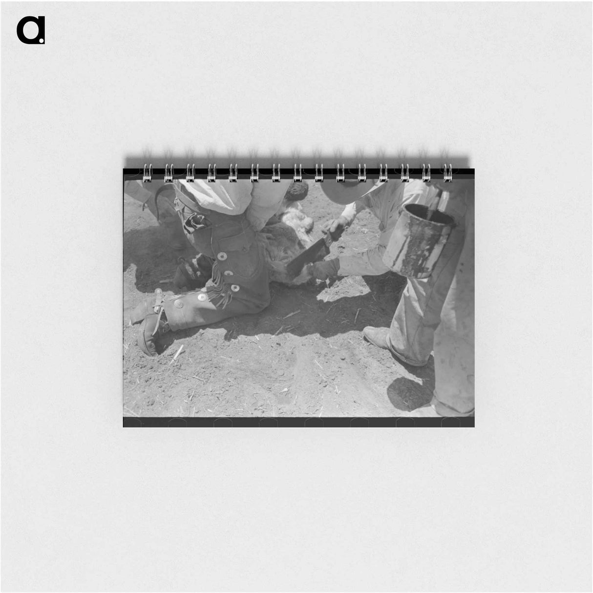 アートメモ帳-Dehorning a Calf, Spur, Texas
- ラッセル リー Memo.