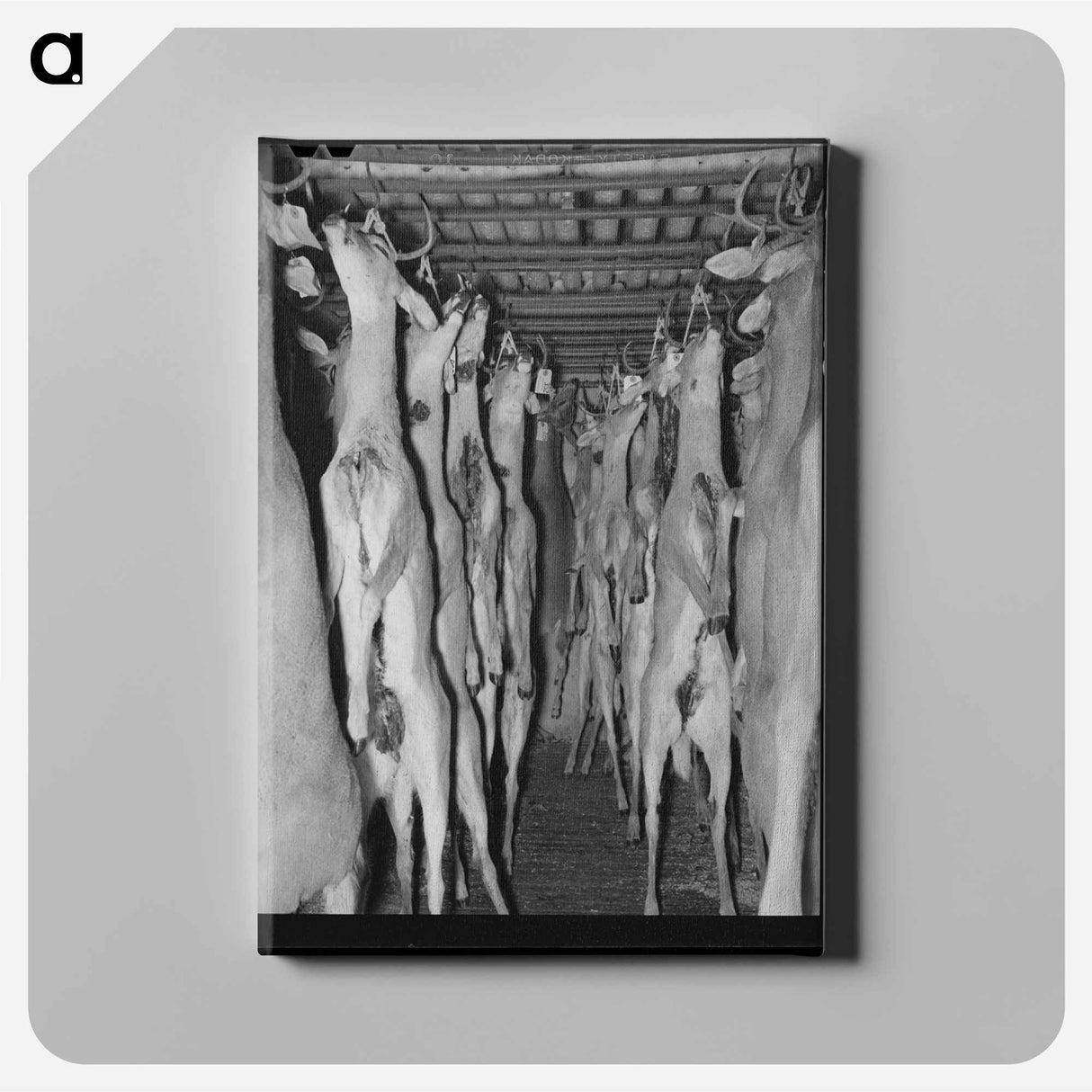 アートパネル-Deer in Cold Storage, Mason, Texas
- ラッセル リー Canvas.