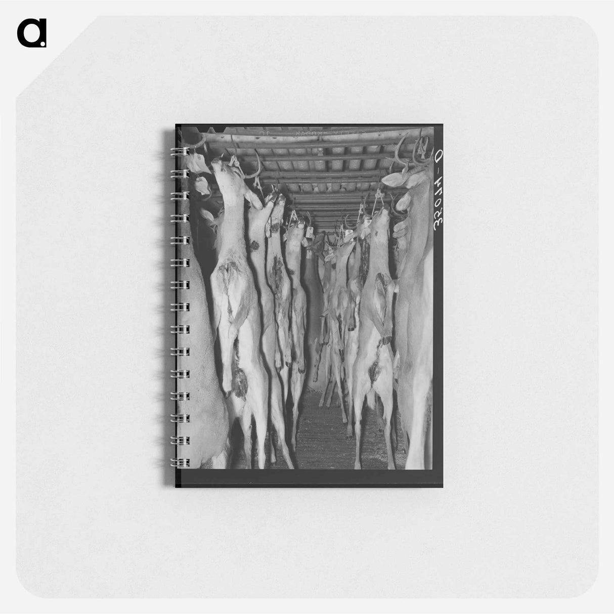 アートメモ帳-Deer in Cold Storage, Mason, Texas
- ラッセル リー Memo.