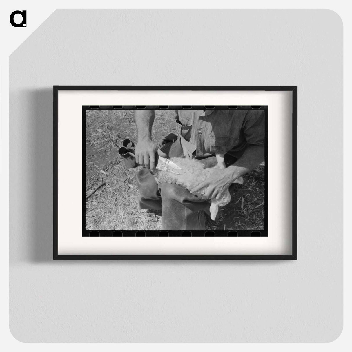 アートポスター-Hand Shearing of Newly-Born Kid, Kimble County, Texas
- ラッセル リー Poster.