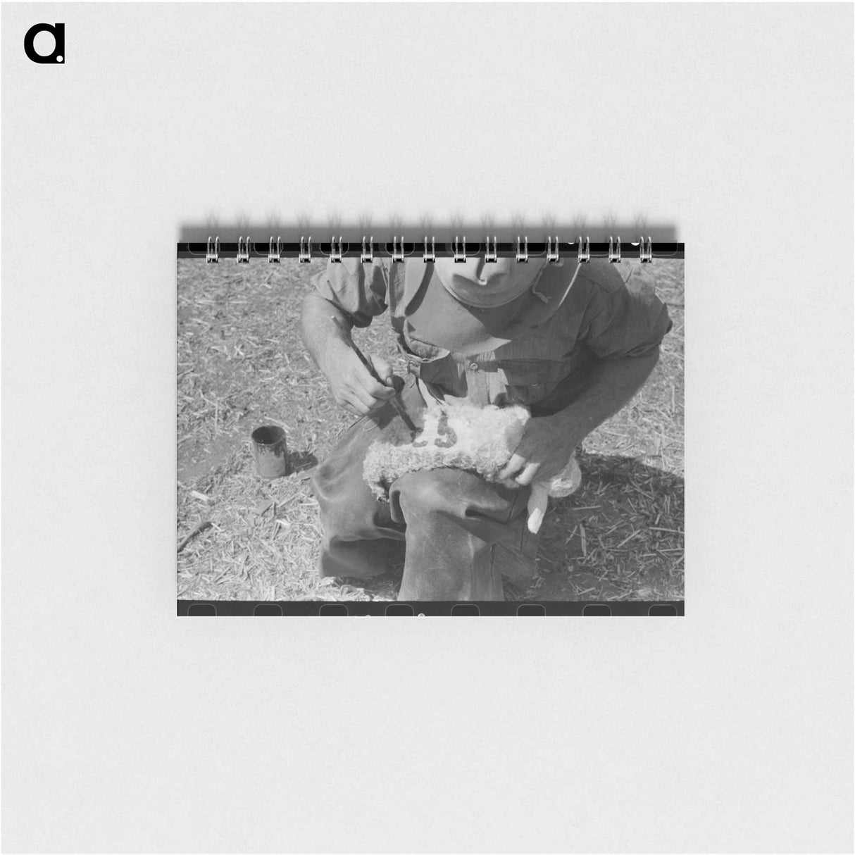 アートメモ帳-Newly Born Kid, Kimble County, Texas
- ラッセル リー Memo.