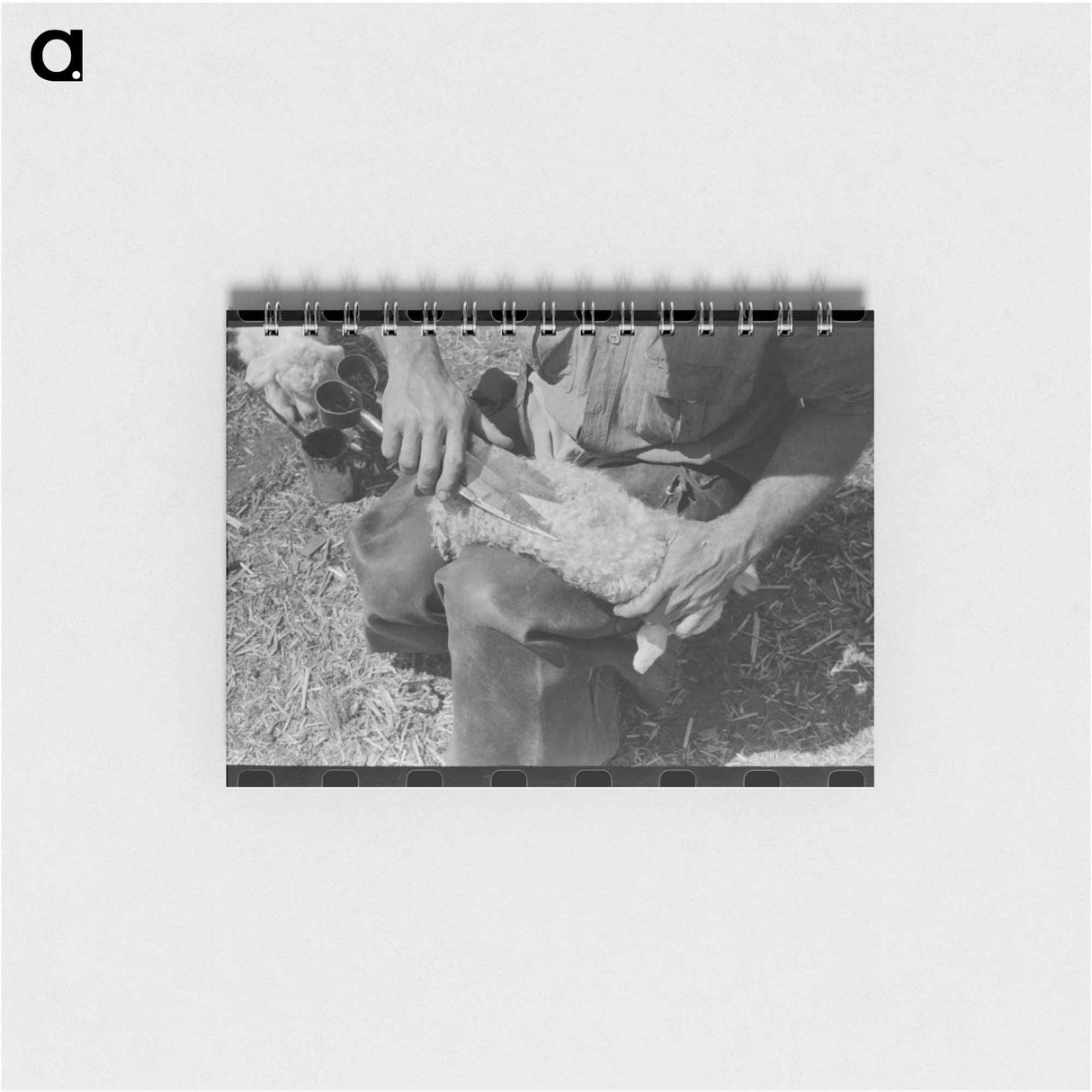 アートメモ帳-Kimble County Ranch: Newborn Identification
- ラッセル リー Memo.