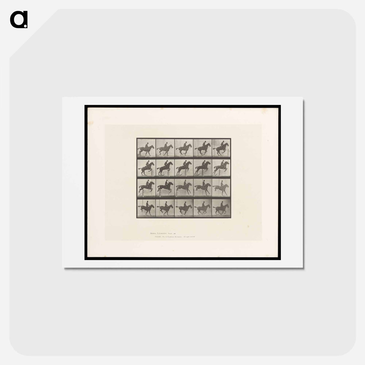 アートポストカード-Jumping Horse
- エドワード マイブリッジ Postcard.