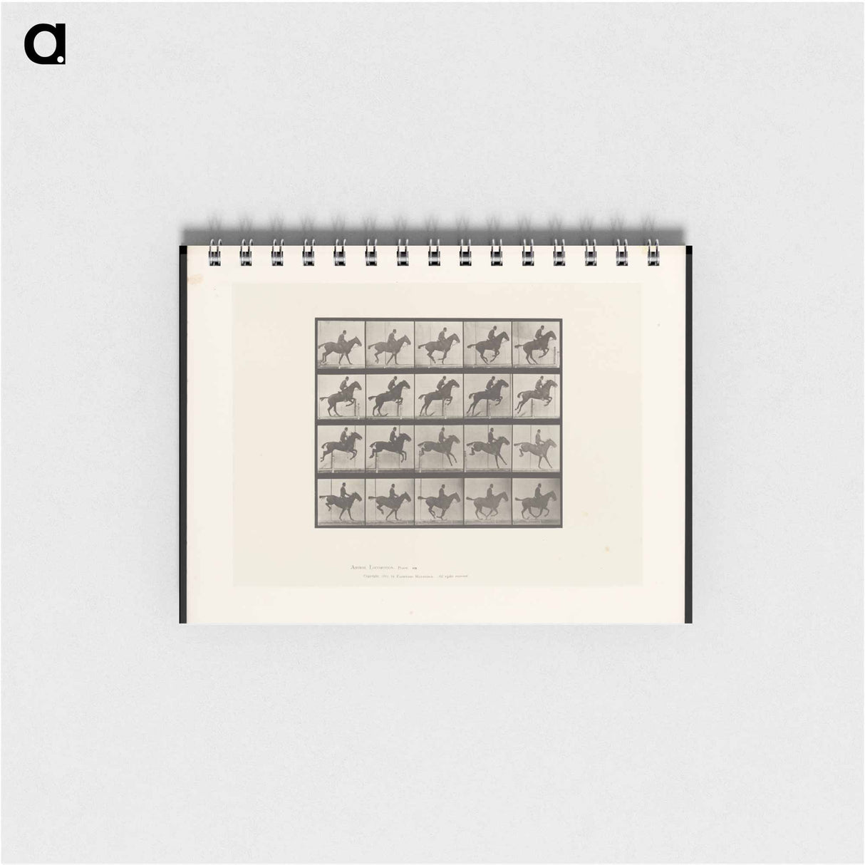 アートメモ帳-Jumping Horse
- エドワード マイブリッジ Memo.