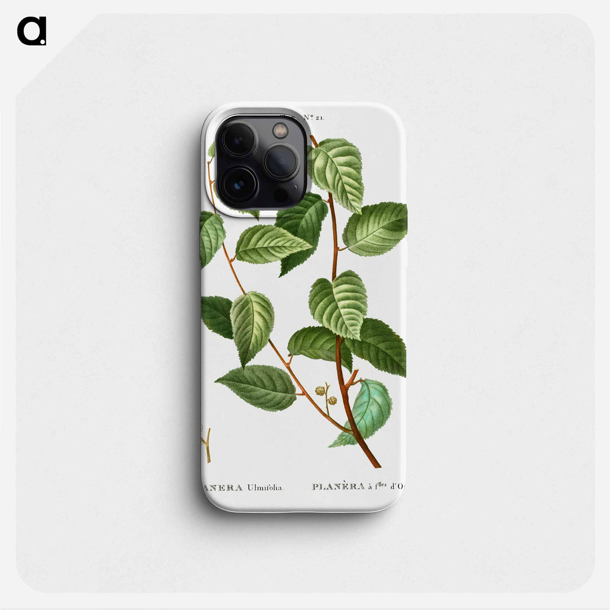 Planer tree - Pierre Joseph Redouté Phone Case.