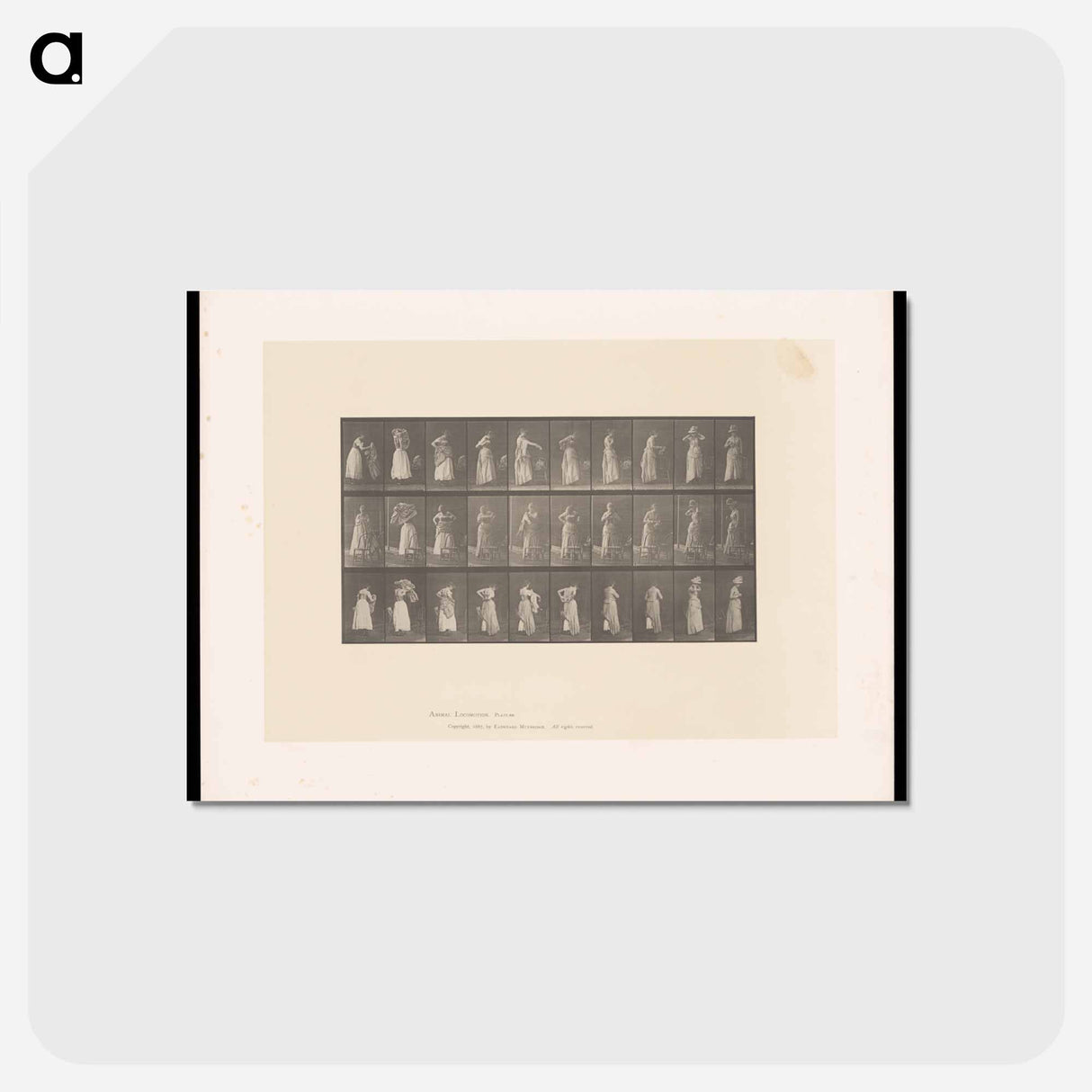 アートポストカード-Woman Dressing
- エドワード マイブリッジ Postcard.