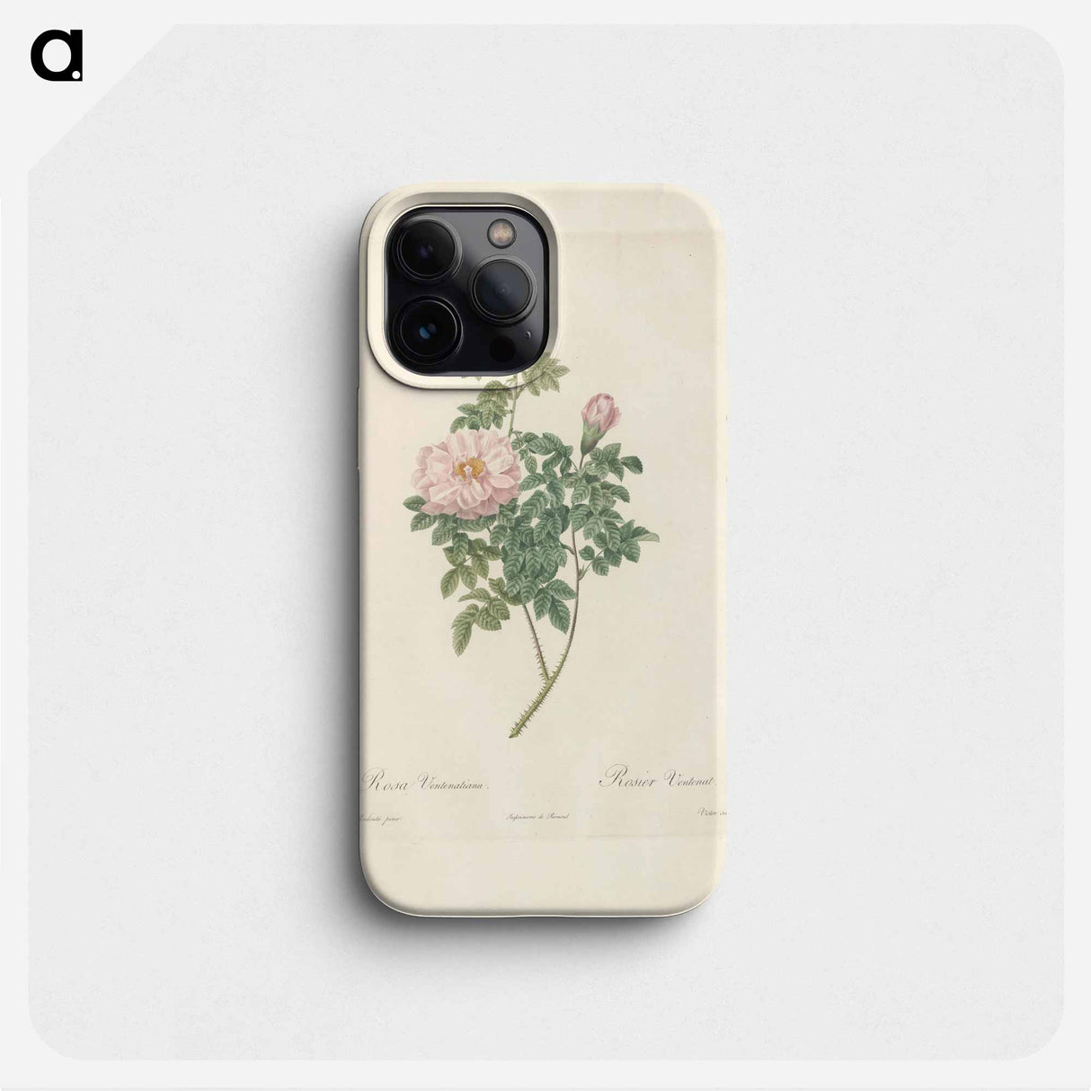 Rose illustration - Pierre Joseph Redouté Phone Case.