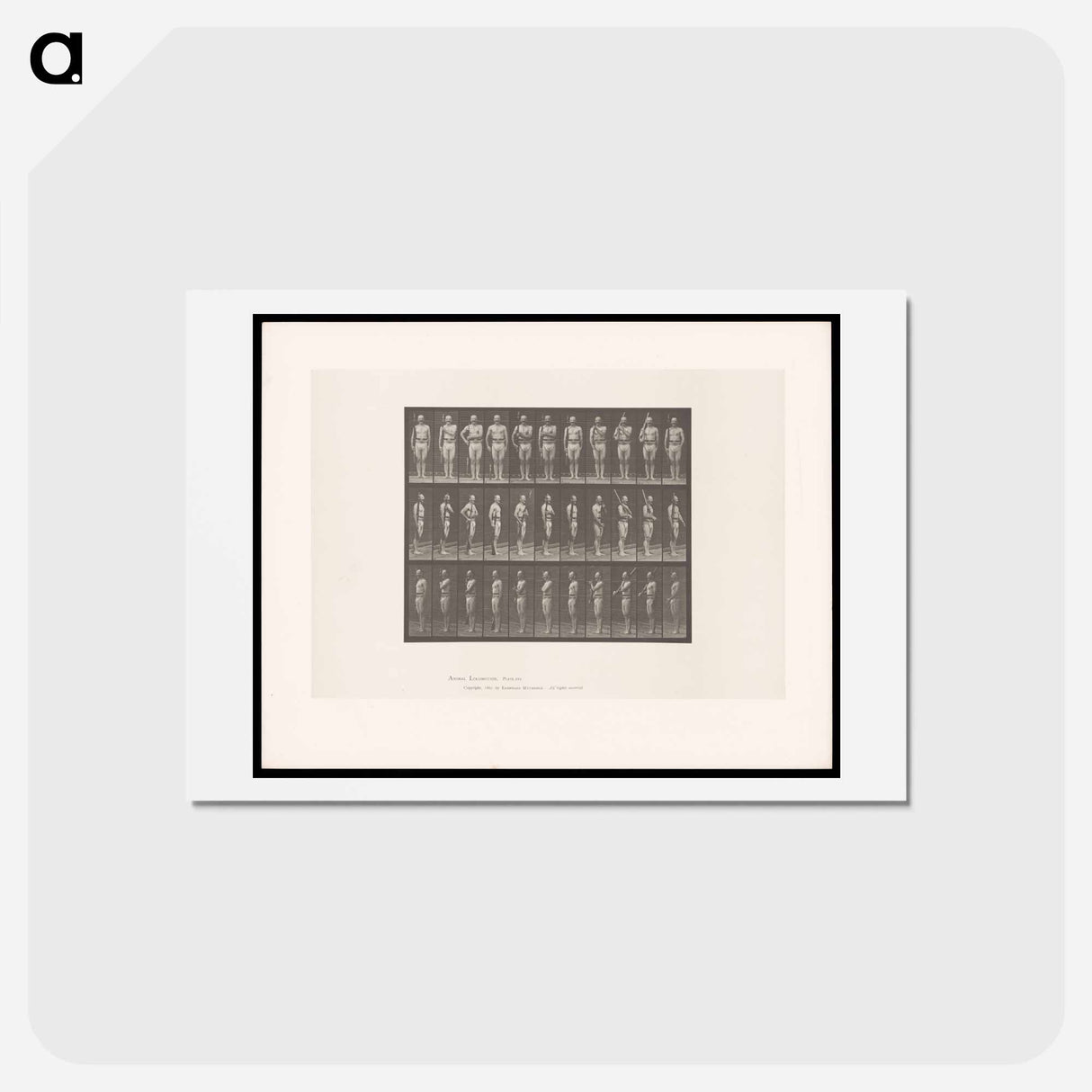 アートポストカード-Man with Rifle
- エドワード マイブリッジ Postcard.