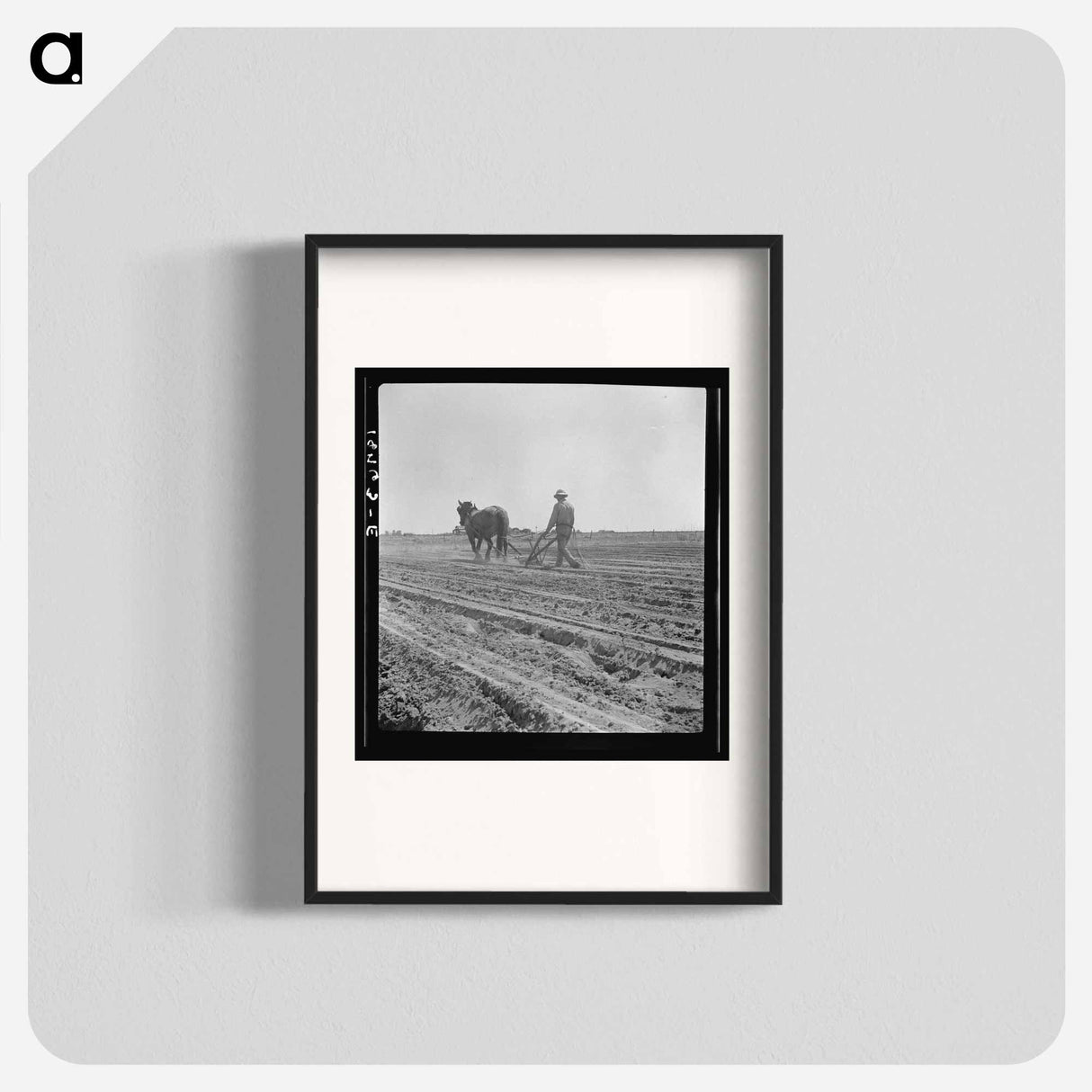 アートポスター-Between Laton and Fowler, central San Joaquin Valley, California. One man-one horse methods are rare in California - ドロテア ラング Poster.