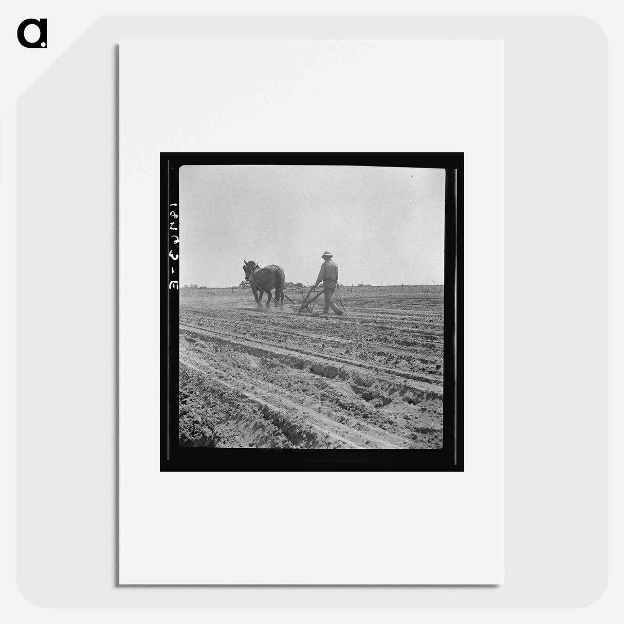 アートポスター-Between Laton and Fowler, central San Joaquin Valley, California. One man-one horse methods are rare in California - ドロテア ラング Poster.
