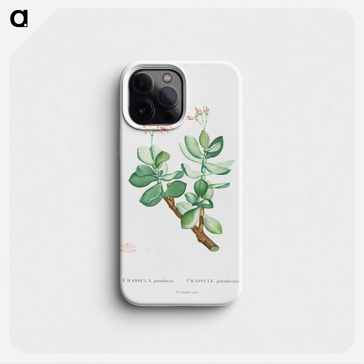 Crassula Portulacea - Pierre Joseph Redouté Phone Case.